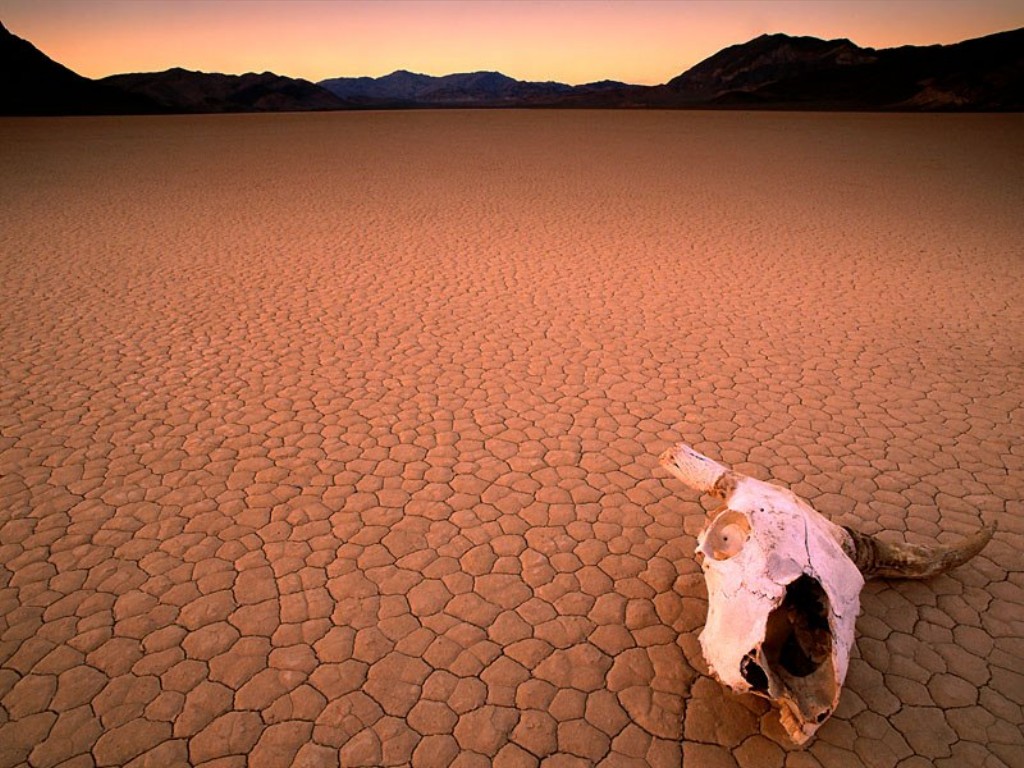 il futuro della stagione della juve ......... il deserto